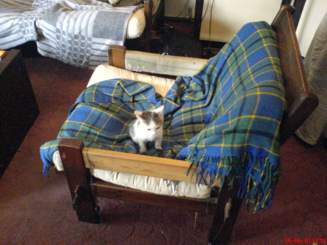 Scaled image dsc00911.jpg 