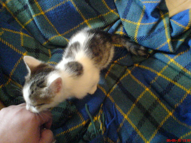 Scaled image dsc00913.jpg 