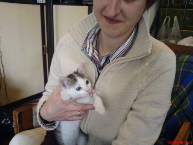 Scaled image dsc00915.jpg 