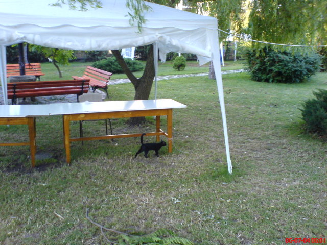 Scaled image dsc01075.jpg 