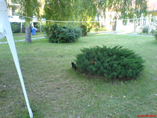 Scaled image dsc01076.jpg 