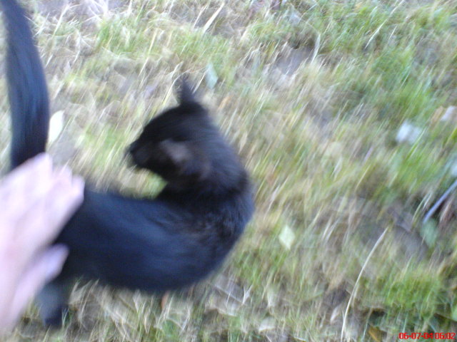 Scaled image dsc01077.jpg 