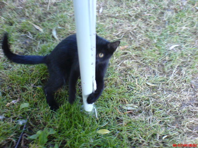 Scaled image dsc01078.jpg 