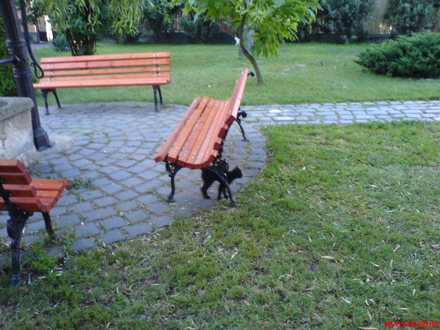 Scaled image dsc01082.jpg 