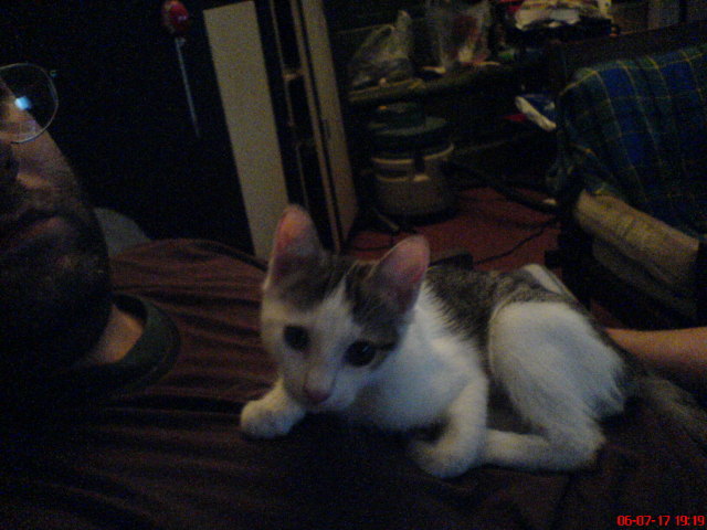 Scaled image dsc01123.jpg 