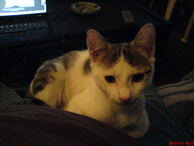 Scaled image dsc01126.jpg 