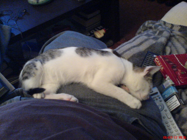 Scaled image dsc01133.jpg 