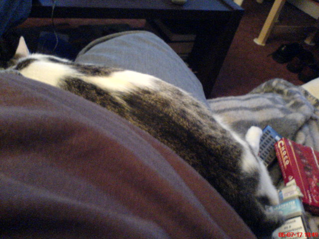 Scaled image dsc01137.jpg 