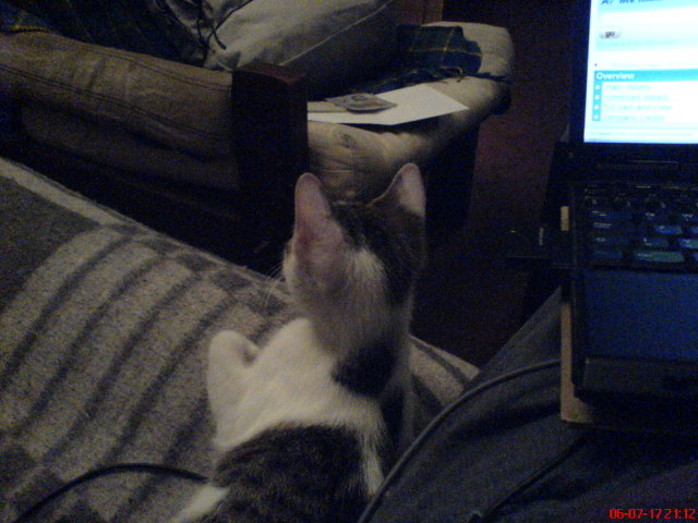 Scaled image dsc01142.jpg 