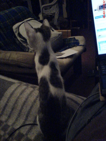 Scaled image dsc01143.jpg 