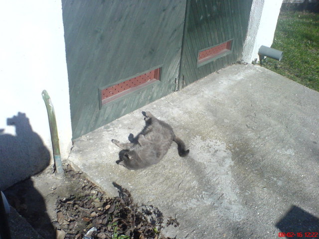 Scaled image p-dsc06166.jpg 