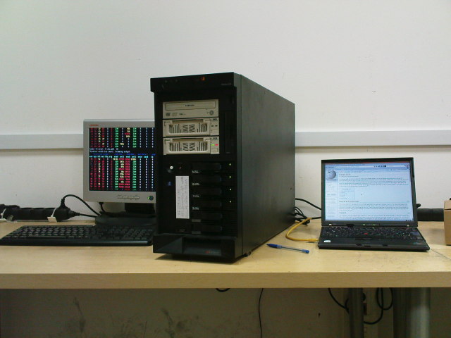 Scaled image bambi.jpg 