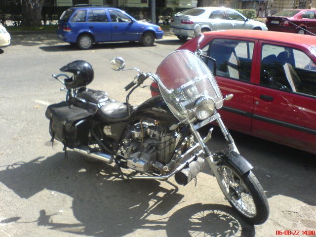 Scaled image dnyeprwolf1.jpg 