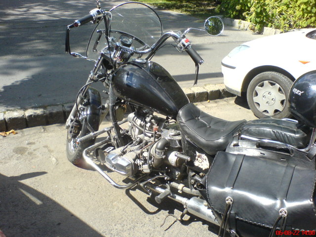 Scaled image dnyeprwolf2.jpg 