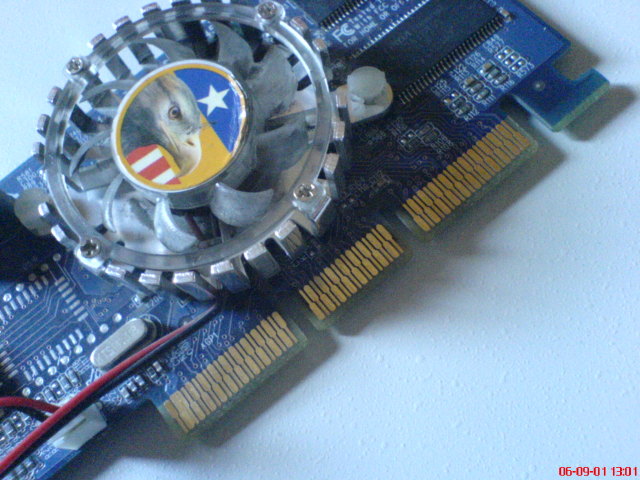 Scaled image dzsiforc.jpg 