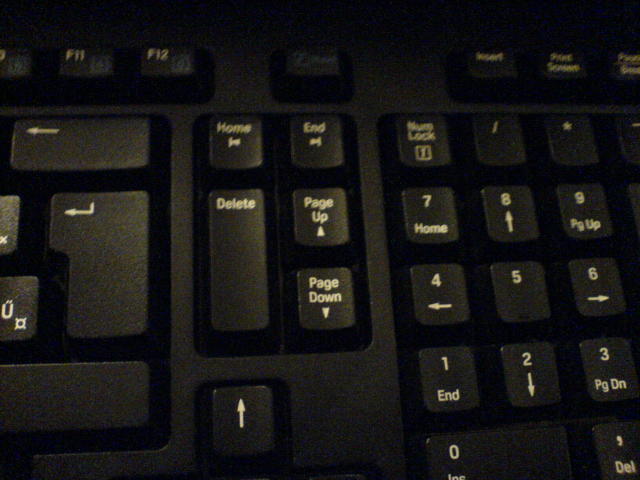 Scaled image furibillentyu.jpg 