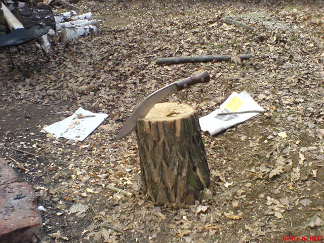 Scaled image galya200703-37.jpg 