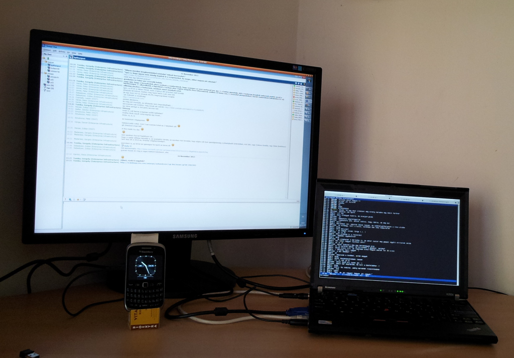 Scaled image luigimonolaptop.jpg 