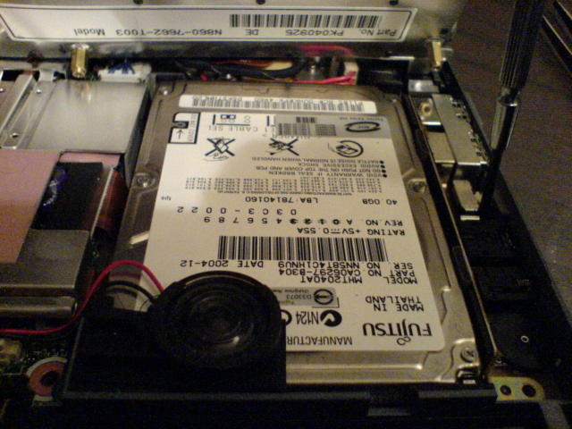 Scaled image pindurip0rn1.jpg 