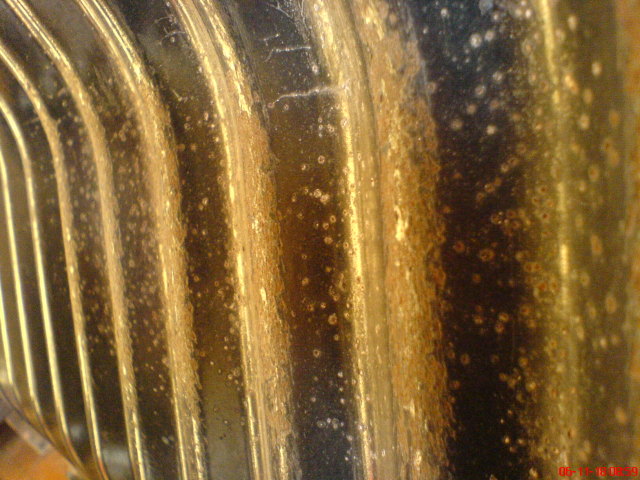 Scaled image gazbigyo7.jpg 