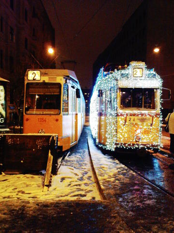 Scaled image DSC04097.JPG 