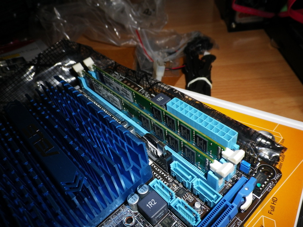 Scaled image IMGP4937.JPG 