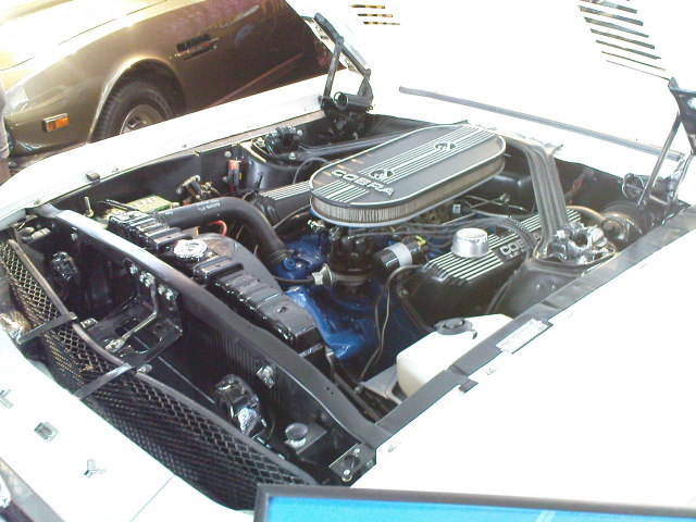 Scaled image DSC04469.JPG 