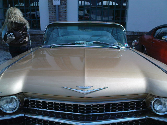 Scaled image DSC04489.JPG 