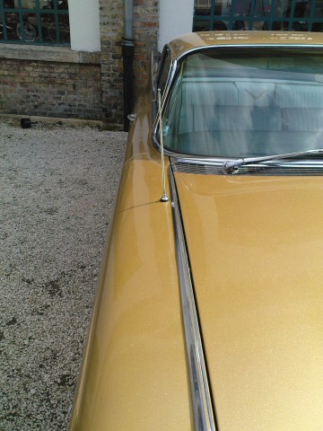 Scaled image DSC04494.JPG 