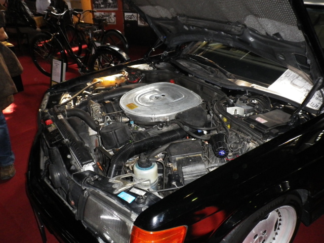 Scaled image IMGP1940.JPG 