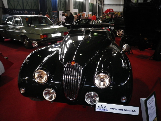 Scaled image IMGP1982.JPG 