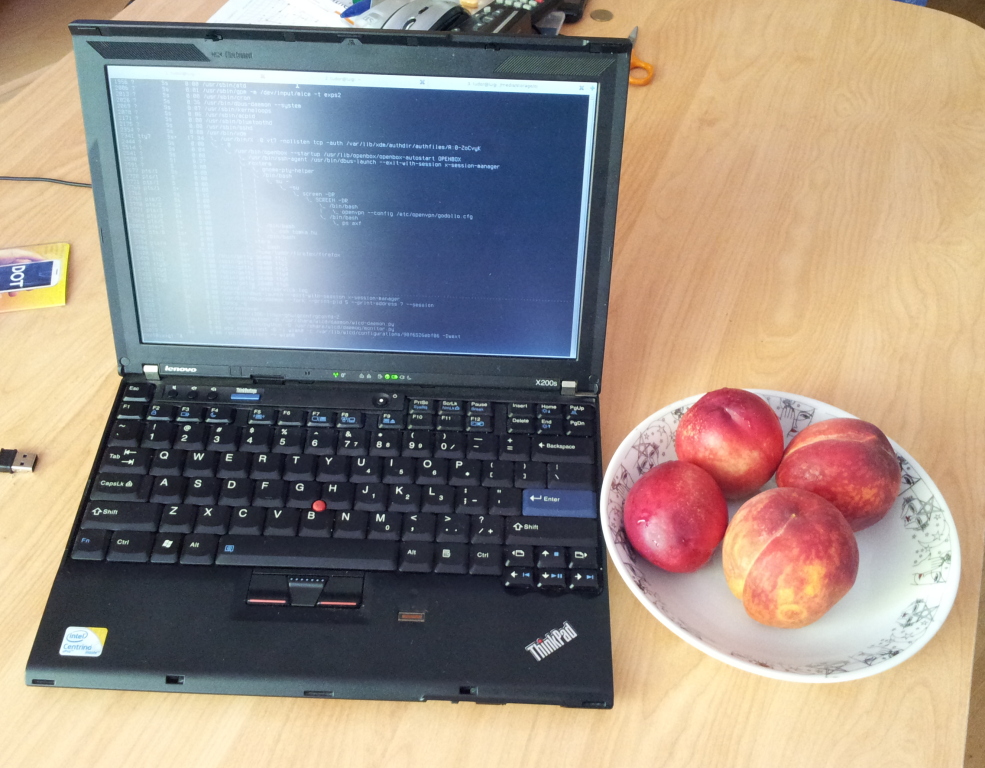 Scaled image luigi_x200s_barack.jpg 