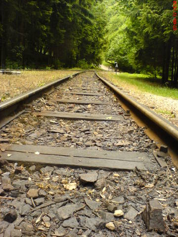 Scaled image dsc03434.jpg 