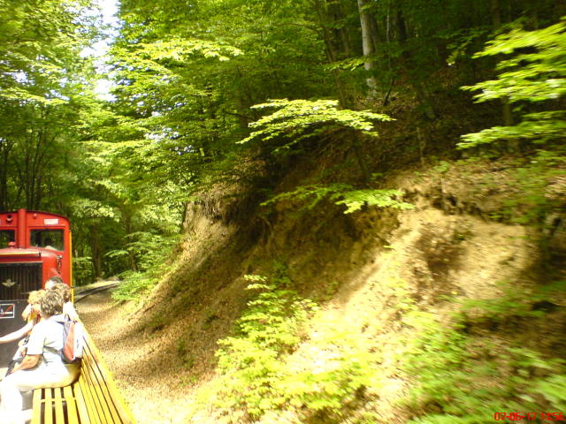 Scaled image dsc03443.jpg 