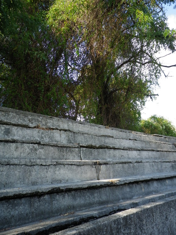 Scaled image IMGP4465.JPG 