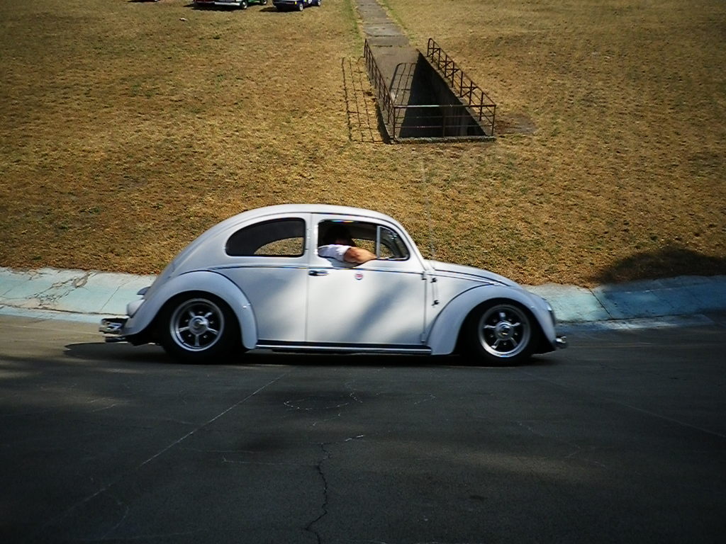 Scaled image IMGP4473.JPG 