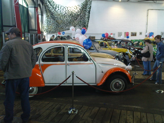 Scaled image cach-15.jpg 