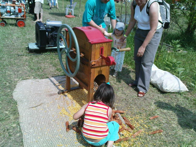 Scaled image dsc00605.jpg 