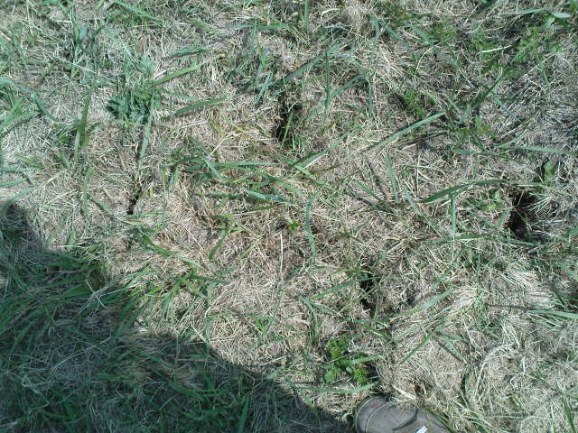 Scaled image dsc00618.jpg 