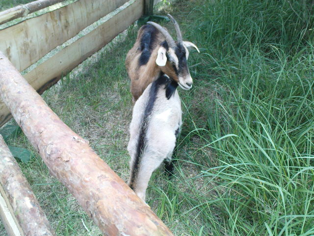 Scaled image dsc00642.jpg 