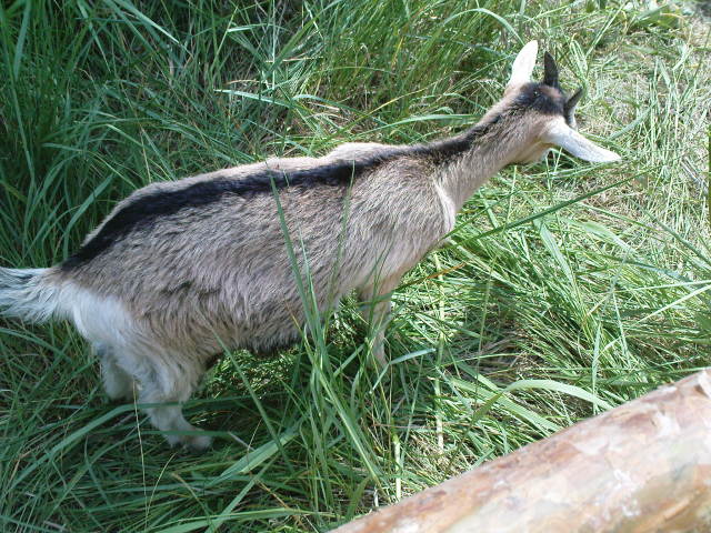 Scaled image dsc00644.jpg 