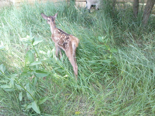 Scaled image dsc00645.jpg 