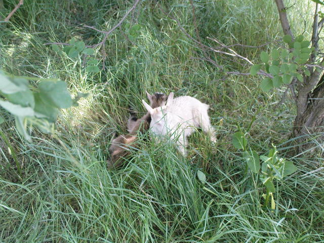 Scaled image dsc00646.jpg 