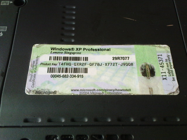 Scaled image DSC04187.JPG 