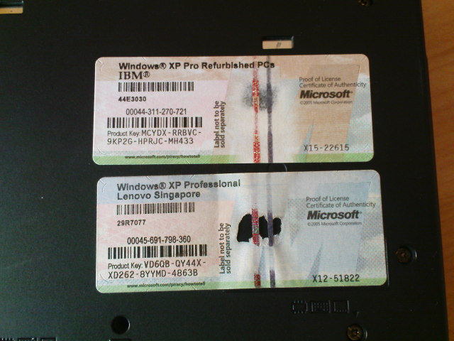 Scaled image DSC04196.JPG 