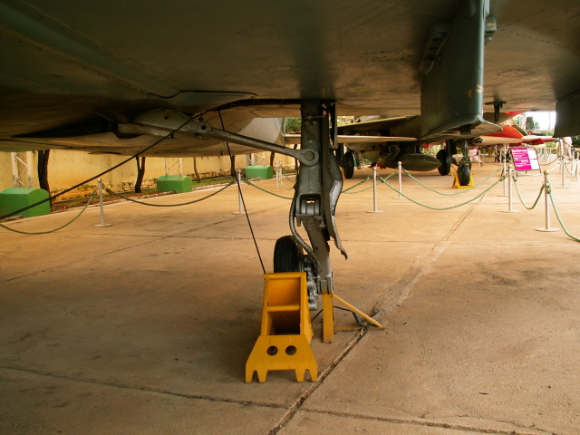 Scaled image PICT8490.JPG 