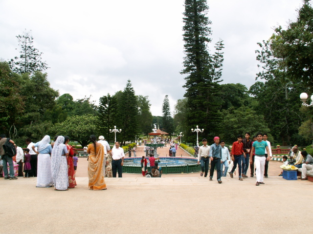 Scaled image ember/PICT9221.JPG 