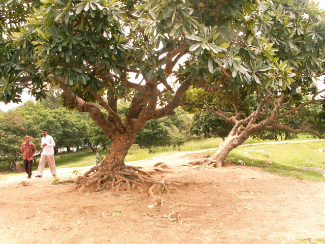 Scaled image fa/PICT8978.JPG 