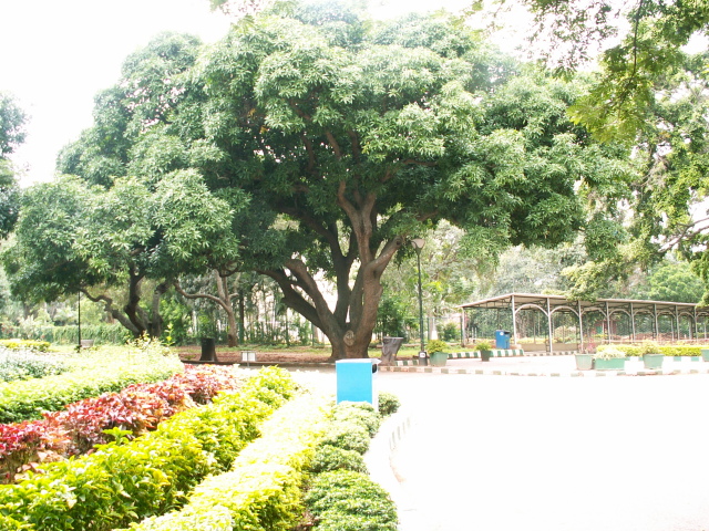 Scaled image fa/PICT9036.JPG 