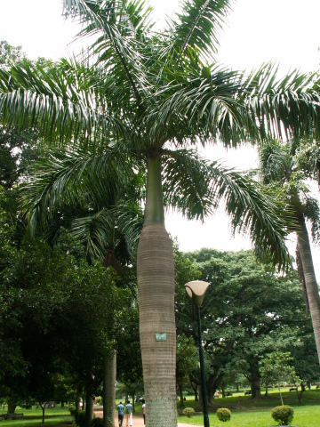 Scaled image fa/PICT9117.JPG 